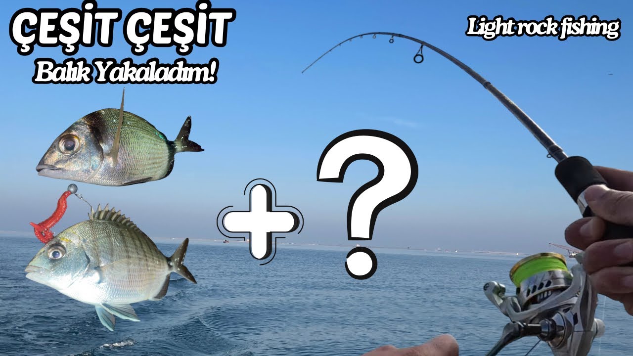 LRF İLE BALIK AVI / ÇEŞİT ÇEŞİT BALIK TUTTUM