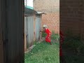 Ukizoea Kecheza Na Bibi Kila Saaрџ Јрџ Јрџ Јрџ Јрџ Јрџ Јрџ Јрџ Јрџ Јрџ Јрџ Јрџ Јрџ Јрџ Јрџ Ј Bettershorts Comedy Ukizoea Kecheza Na Bibi Kila Saaрџ Јрџ Јрџ Јрџ Јрџ Јрџ Јрџ Јрџ Јрџ Јрџ Јрџ Јрџ Јрџ Јрџ Јрџ Ј Bettershorts Comedy