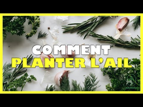 Vidéo YouTube