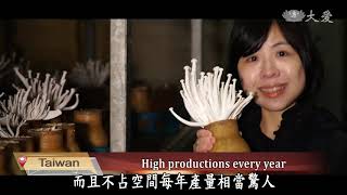 【DaAi Headlines】20210425