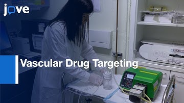 3D Cell-Cultured Arterial Models: Studying Vascular Drug Targeting Under Flow l Protocol Preview