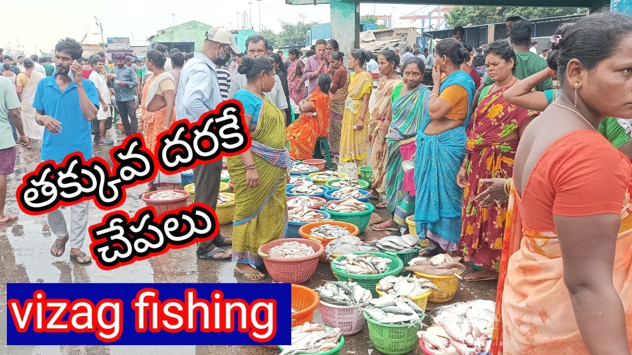 #amazig తక్కువ ధరకే చేపలు వైజాగ్ ఫిషింగ్ హార్బర్ #fishing #vizagfishingharbour #vizag