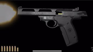 IGUNPRO2: 22A SHOOTING TEST