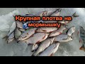 Ловля весенней плотвы на мормышку на Рыбинском водохранилище. Весенний жор крупной плотвы.