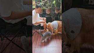 Bertiga manja majaan sama ayah. Semua minta disuapin