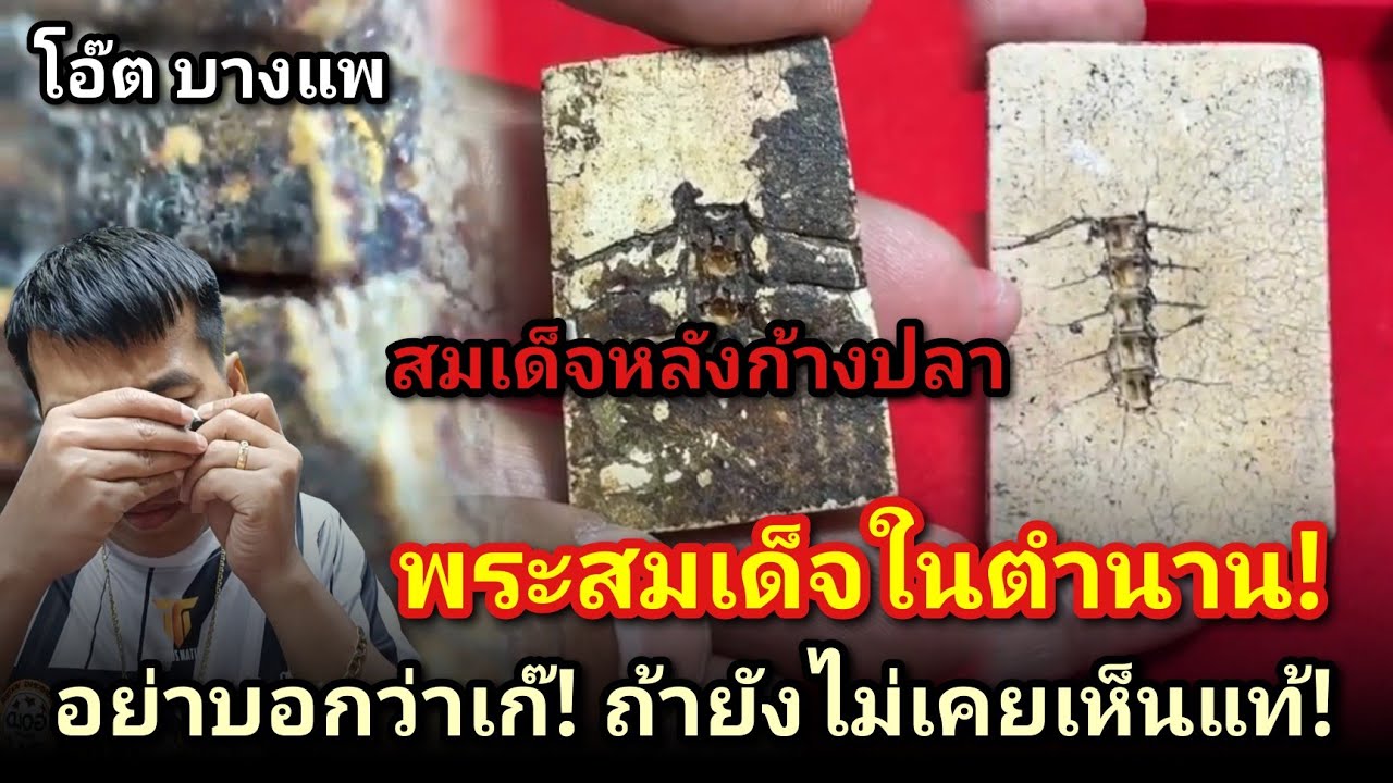 สมเด็จหลังก้างปลา อย่าบอกว่าเก๊! ถ้ายังไม่เคยเห็นแท้! #โอ๊ตบางแพ #คนชอบพระ