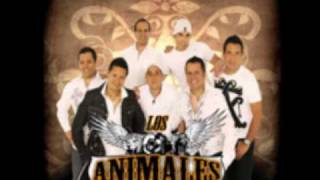Video thumbnail of "Hazme Una Señal - Animales De La Ke Buena"