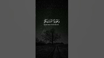 #اكسبلور #قران_كريم #تلاوات #ماهر_المعيقلي