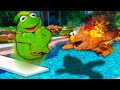 Kermit the Frog and Elmo's EXTREME Summer Belly Flop Challenge!