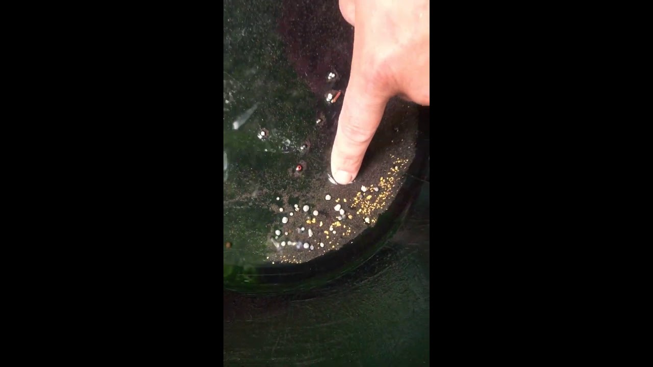 Orpaillage Bâtée de rêve Bichbat et Cuicui #3