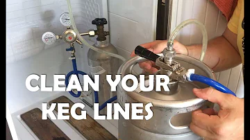 What can I clean my beer lines with?