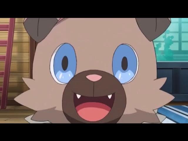 Rockruff's cute moments compilation - Pokemon Sun and Moon