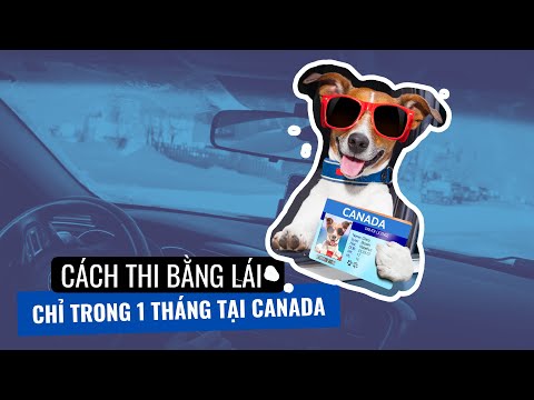 Video: Giấy phép hạng 5 Alberta là gì?