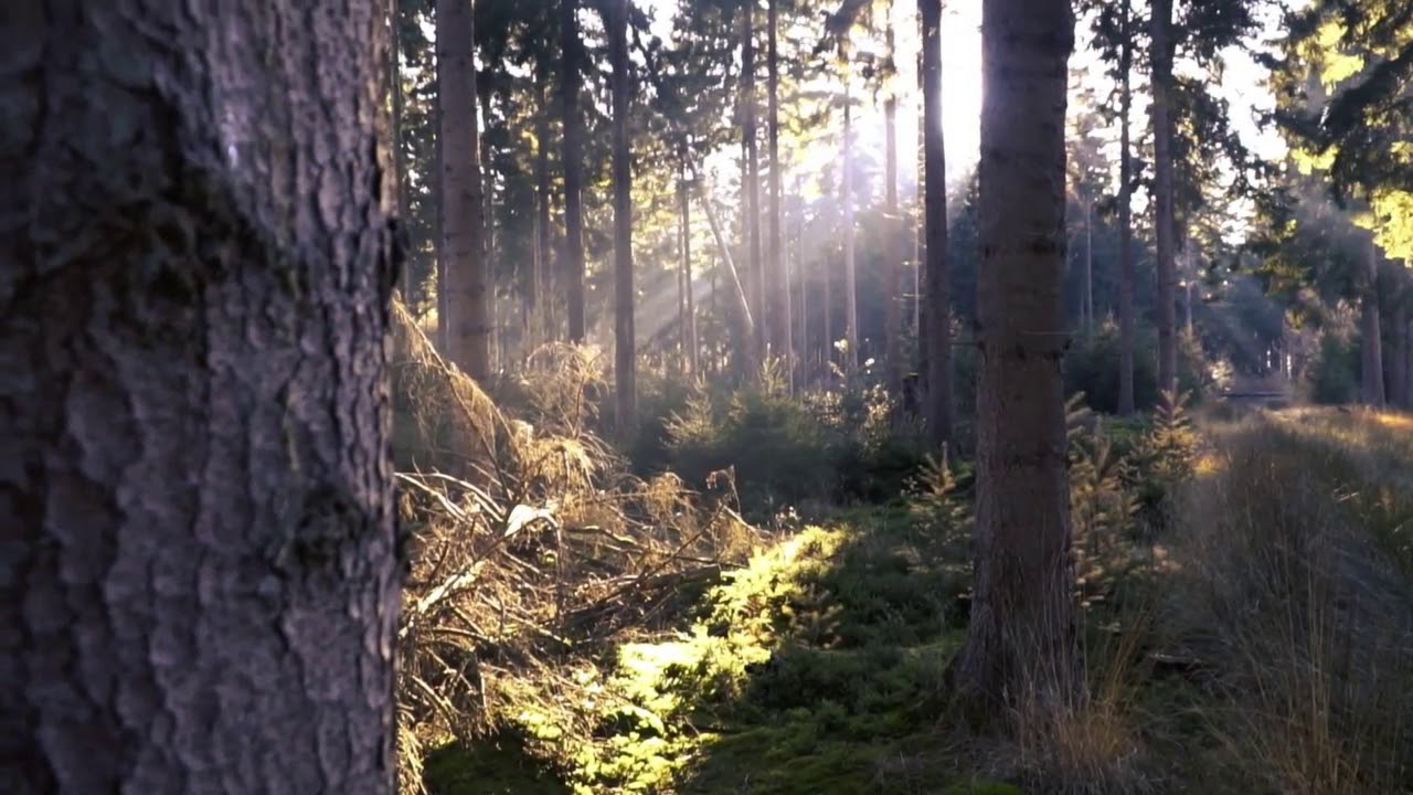 Modern romantic piano and orchestra "October" 