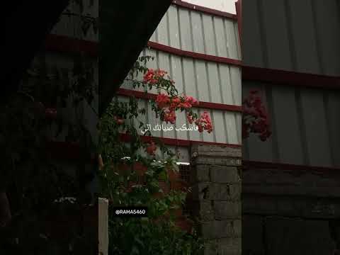 انشودة يا رجائي بدون موسيقى اناشيد فانكام نصائح راما لايكك اشتراكك