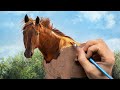 Horse Painting Time-Lapse | Oil on Canvas