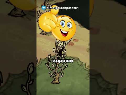 Видео: ЛУЧШАЯ БРАНЯ В DONT STARVE?????!! ТГК - goldenpotate1