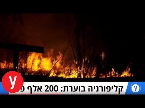 וִידֵאוֹ: המחוקק במדינת קליפורניה מעביר הצעת חוק האוסרת על מכירת מוצרי קוסמטיקה הנבדקים על ידי בעלי חיים