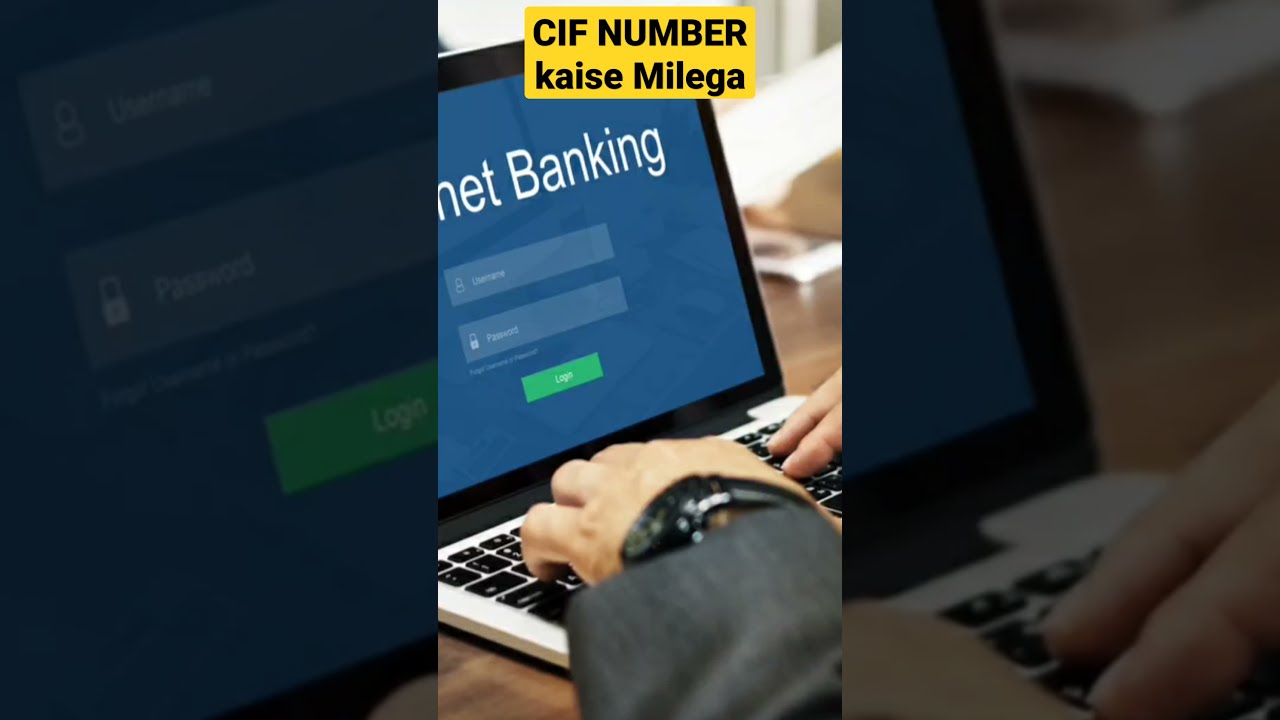 Cif Number Kya Hota Hai How To Find CIF Number CIF No Kaise Pata