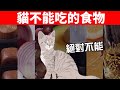 這8種常見食物絕對不能給貓吃，嚴重恐喪命，貓奴切記！【養貓必看EP33】