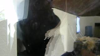 DSCF8284