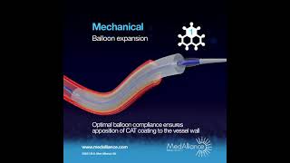 Technology Series Cat Coating 3 Step Mechanism Of Action