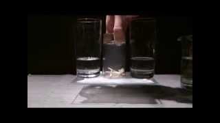 Myscience Experiment Flying Glasses