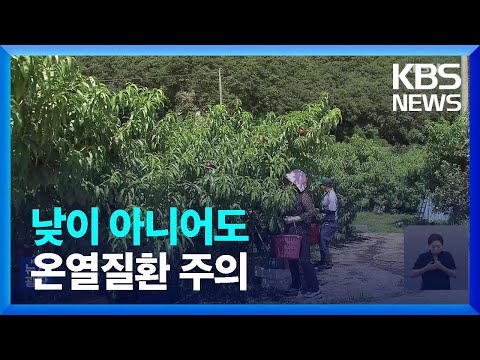 ‘시간대 구분 없는 온열질환’…고령 농업인 특히 위험 / KBS  2023.08.02.