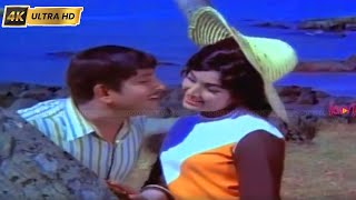 ஓ மைனா ஓ மைனா பாடல் | O Maina song | S. P. Balasubrahmanyam | Msv | Kannadasan | Nangu Suvargal .