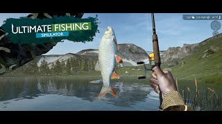 Ultimate Fishing Simulator - Beginners Guide - How To Level Up