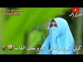 كوني كوردة و أختفي الوصف