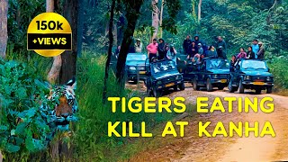 (Day 2) Kanha National Park - Mukki Gate Tiger Safari - (MV3, Mahavir 3) 4K Video Hindi | हिन्दी