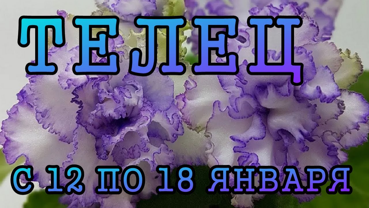 ТЕЛЕЦ таро прогноз на неделю с 12 по 18 ЯНВАРЯ 2026 года