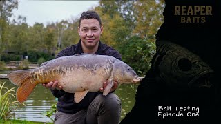 Testing My Own Carp Bait — The Results Shocked Me!