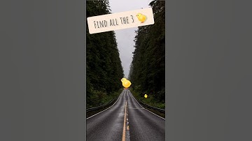 Try to find all the ducks ep37