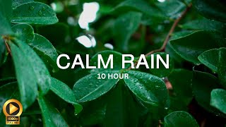 10 Hour | Spiritual Rain Meditation | Insomnia | Study | Focus | Spa | Calming Background Ambience screenshot 1