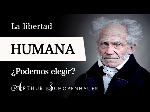 Video: ¿Cómo encontrar un látigo pobre voluntad?