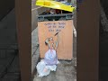 Algo – street artist Barna, urban art clip, arte urbano