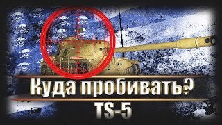 Куда пробивать TS-5 ● Обзор брони и обстрел с разных танков