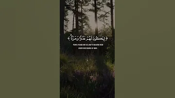 استمع لأحداث قصة موسى عليه السلام بصوت يخشع له القلب المنشاوي 