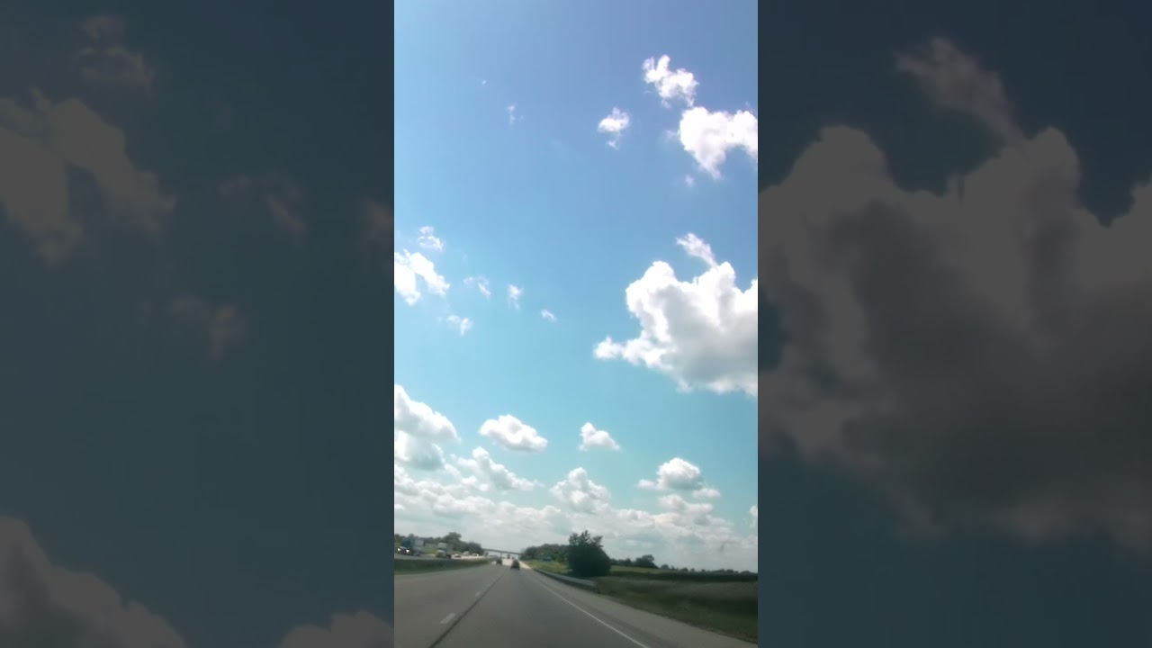 Watching the roadside overgrowth go by 