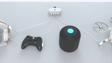 InVue Zips: Secure Protection for Merchandise on Display