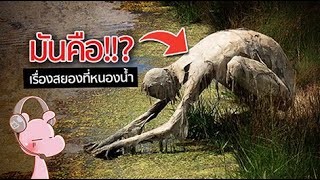 ชาวบ้านผวา!! เพราะเจอสิ่งนี้ที่หนองน้ำ!! #อสูรไดอะรี่ I แค่อยากเล่า...◄991►