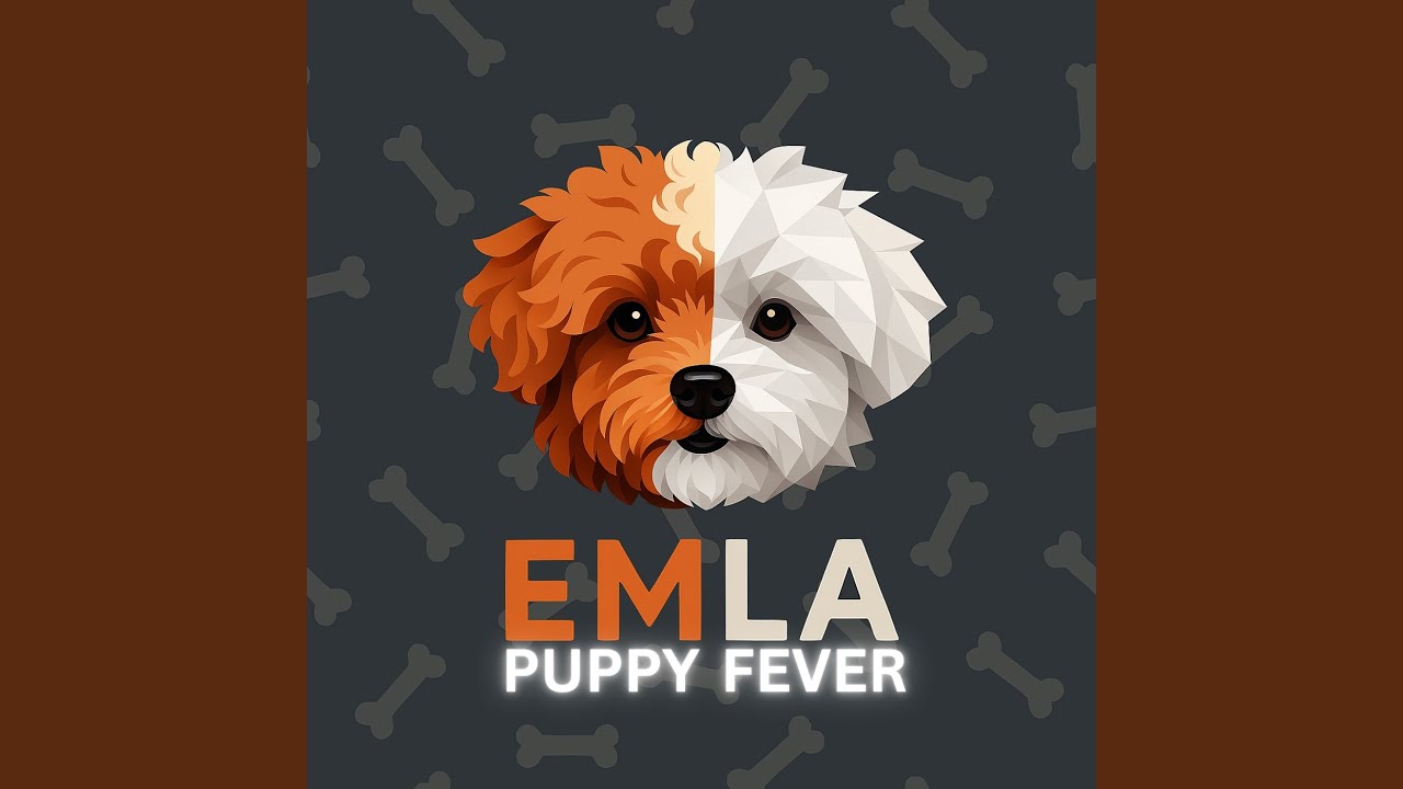 Watch Maltipoo on YouTube Watch Maltipoo on YouTube