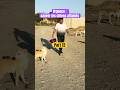 ЁЯШ Il Survivait Dans Une Poubelle Regardez Sa Joie Apr иs ЁЯТХЁЯР Chiensansabri Sauvetage Vieanimale ЁЯШ Il Survivait Dans Une Poubelle Regardez Sa Joie Apr иs ЁЯТХЁЯР Chiensansabri Sauvetage Vieanimale