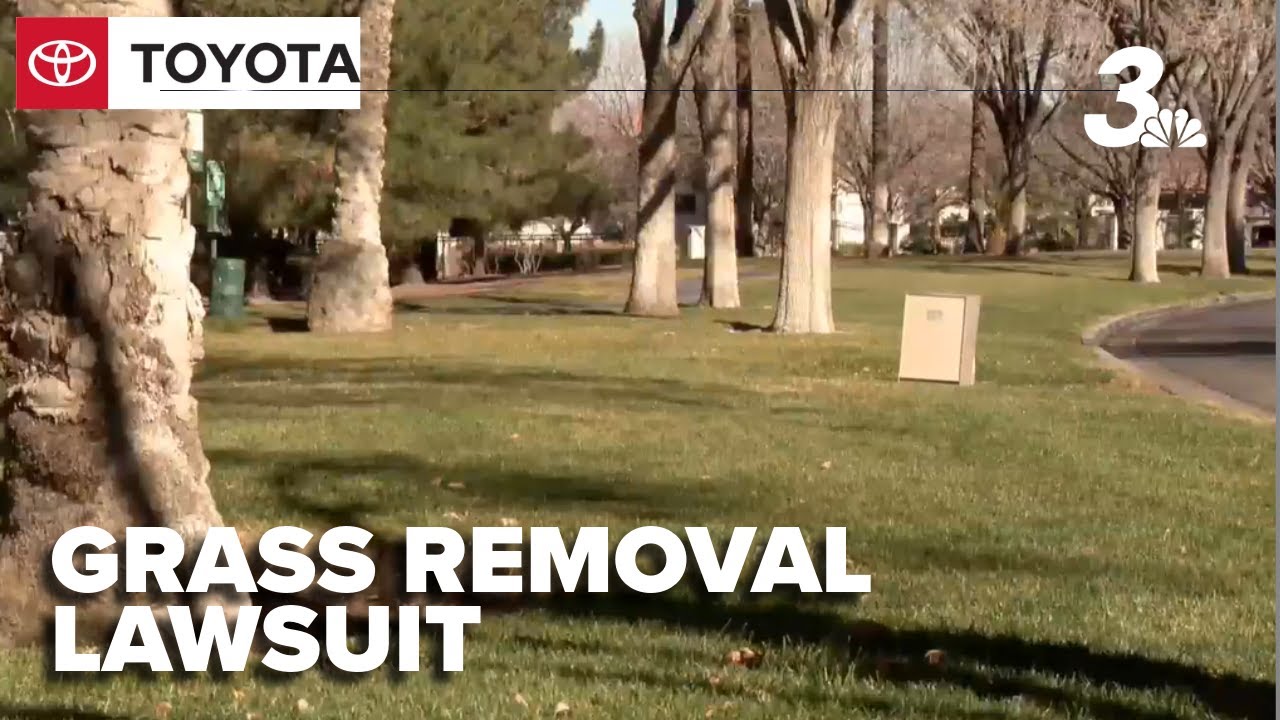 'This is about the whole Valley' Lawsuit fights SNWA's effort to replace grass