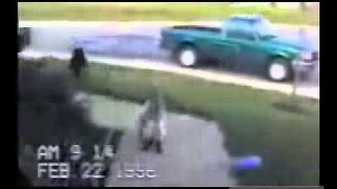 Funny Cats 3 [from www.metacafe.com]_copy.wmv