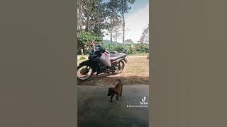 LAGU NIAS