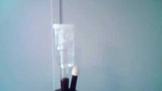 Fast Molasses Fermentation