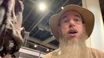 Fossil Friday with Park Ranger Marty - Meet Stan the T. rex